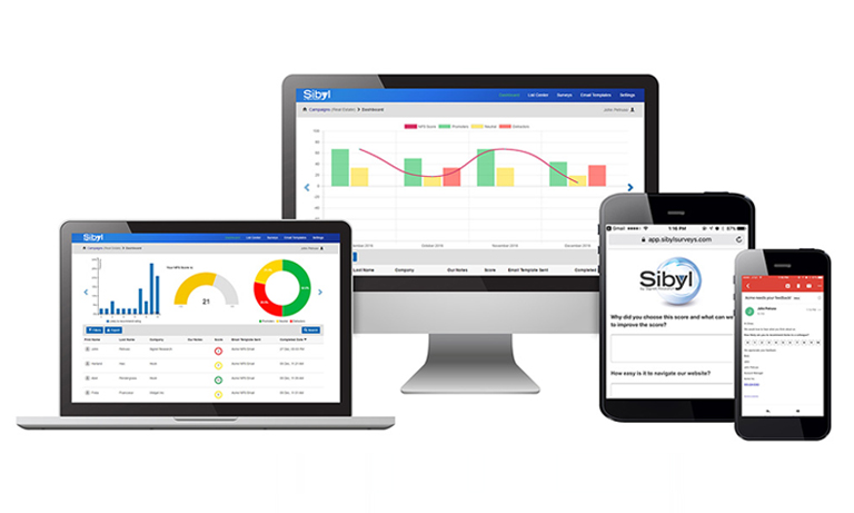 Sibyl™ NPS® Software Platform for B2B Customer Experience Launched