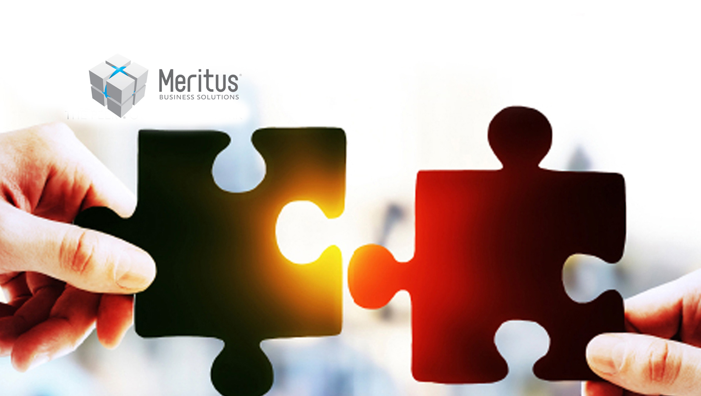 Meritus Business Solutions Announces Its Partnership with bpm'online