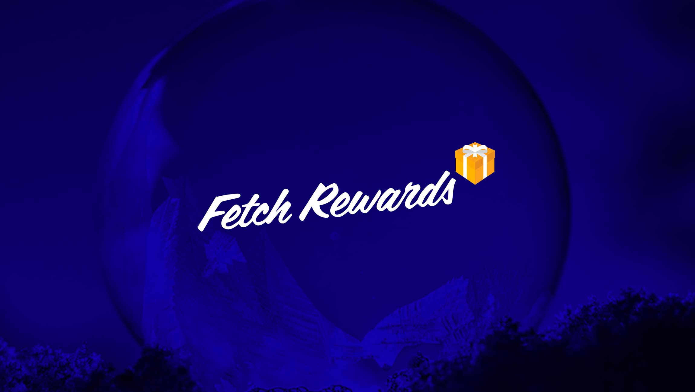 Fetch Rewards Hires Former Chief Technology Officer of Shipt, David Berk, to Fill its CTO Role