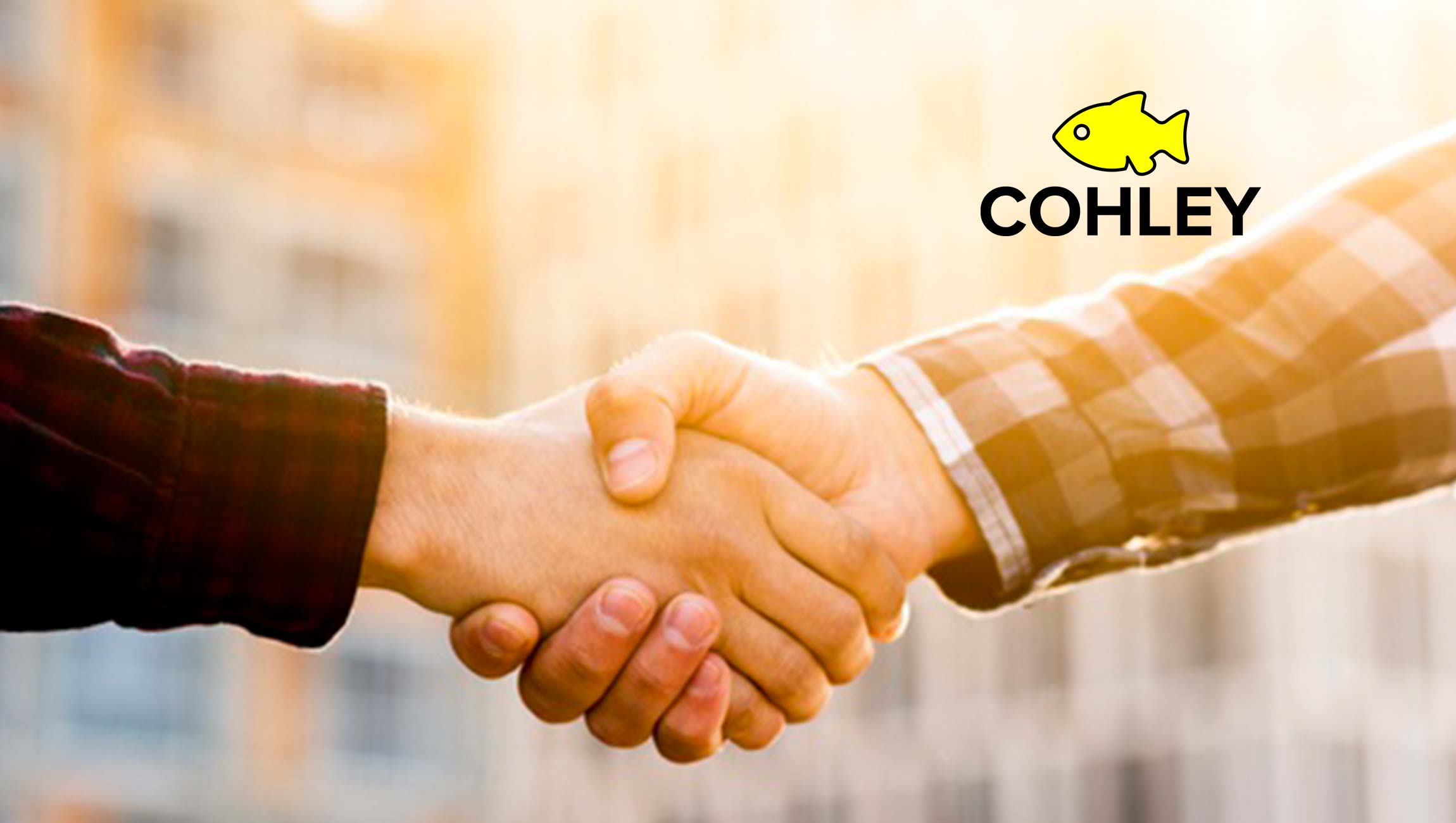 Cohley & Klaviyo Announce Strategic Partnership