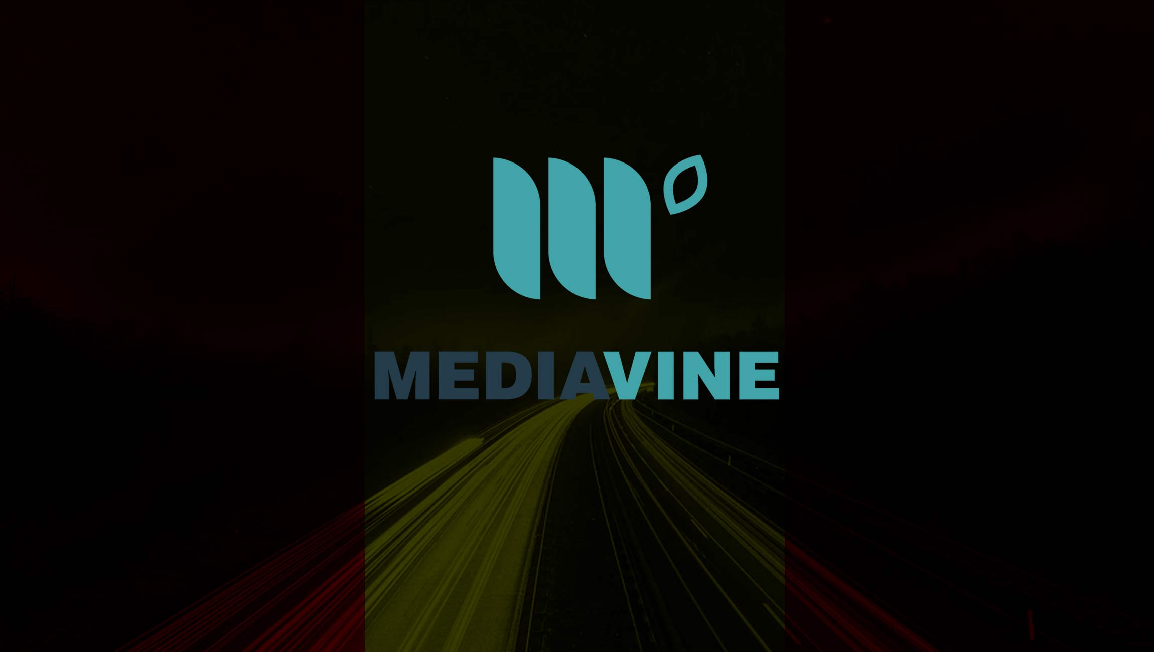 Mediavine Launches the Second of Its Two First-Party Data Solutions for Publishers