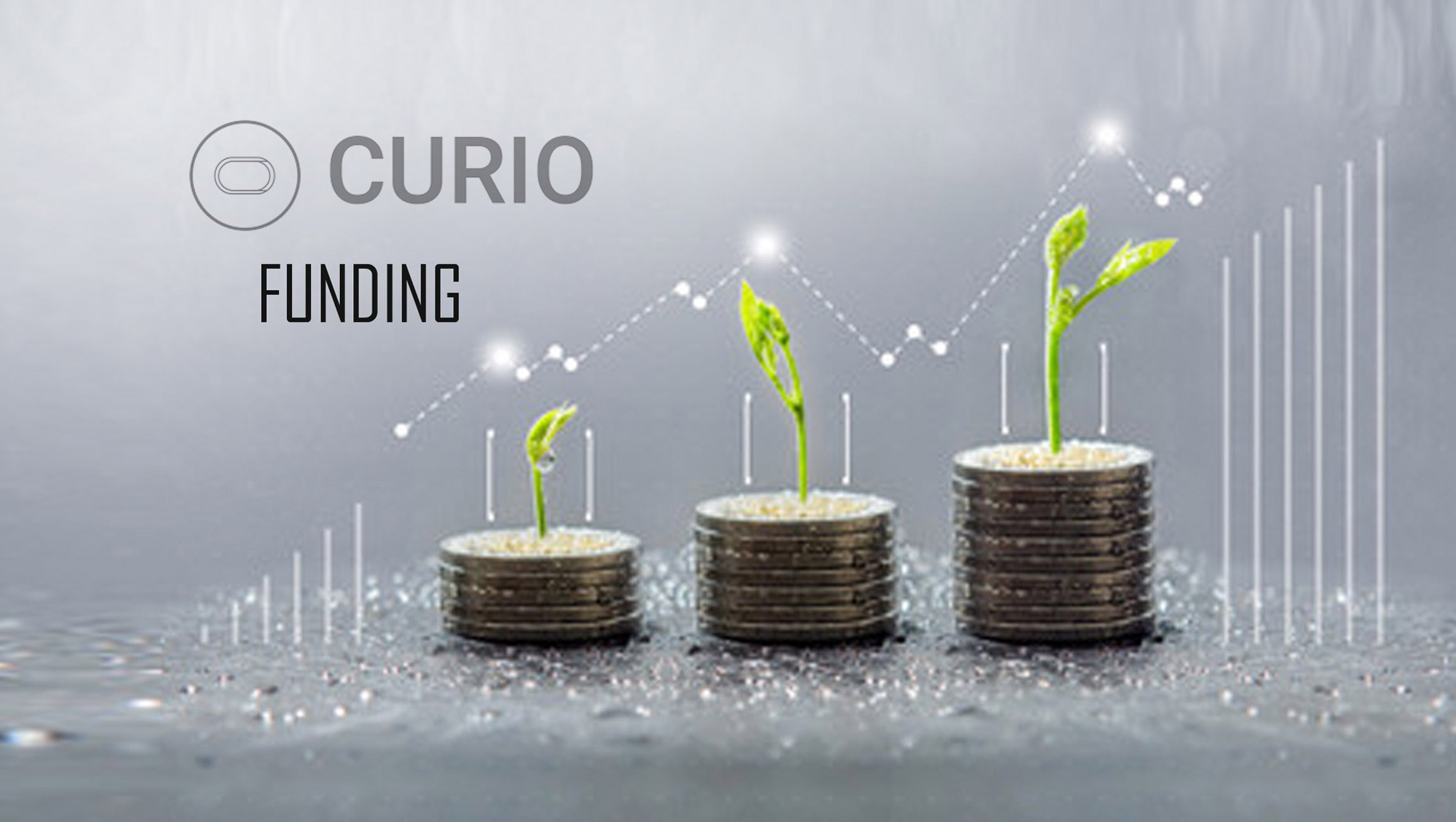 Curio Announces Funding; NFT Platform Receives $1.2M In Oversubscribed Seed Round To Fuel Expansion