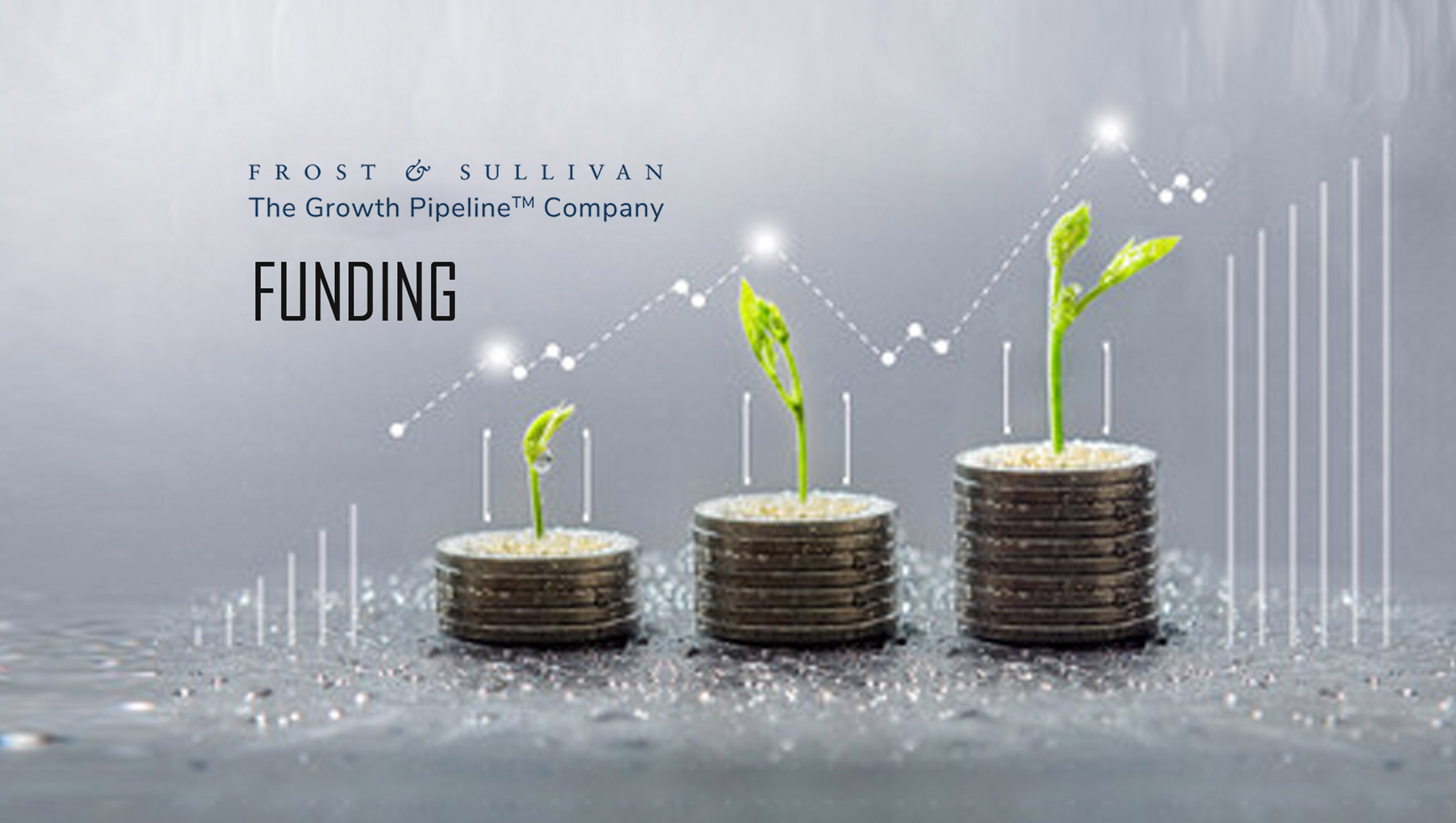 Frost & Sullivan, Quick Commerce, Funding Rounds and Industry